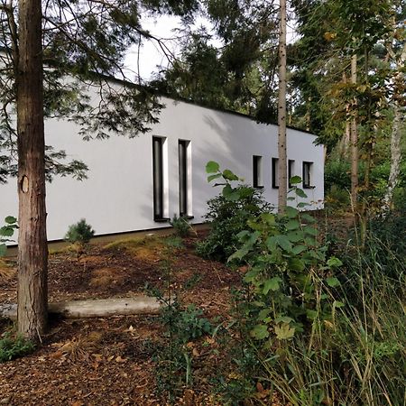 B&B Altijd Zomer Nijlen Luaran gambar