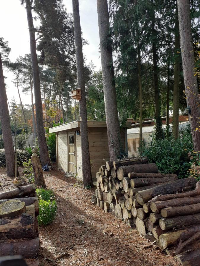 B&B Altijd Zomer Nijlen Luaran gambar